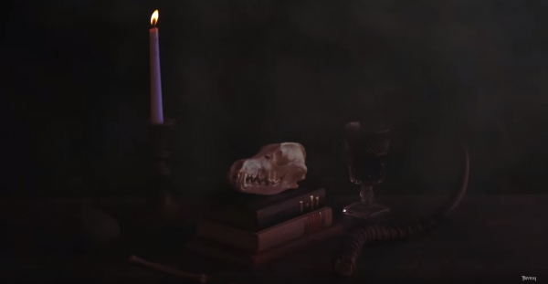 Heute gab es Teaser Nr.2!